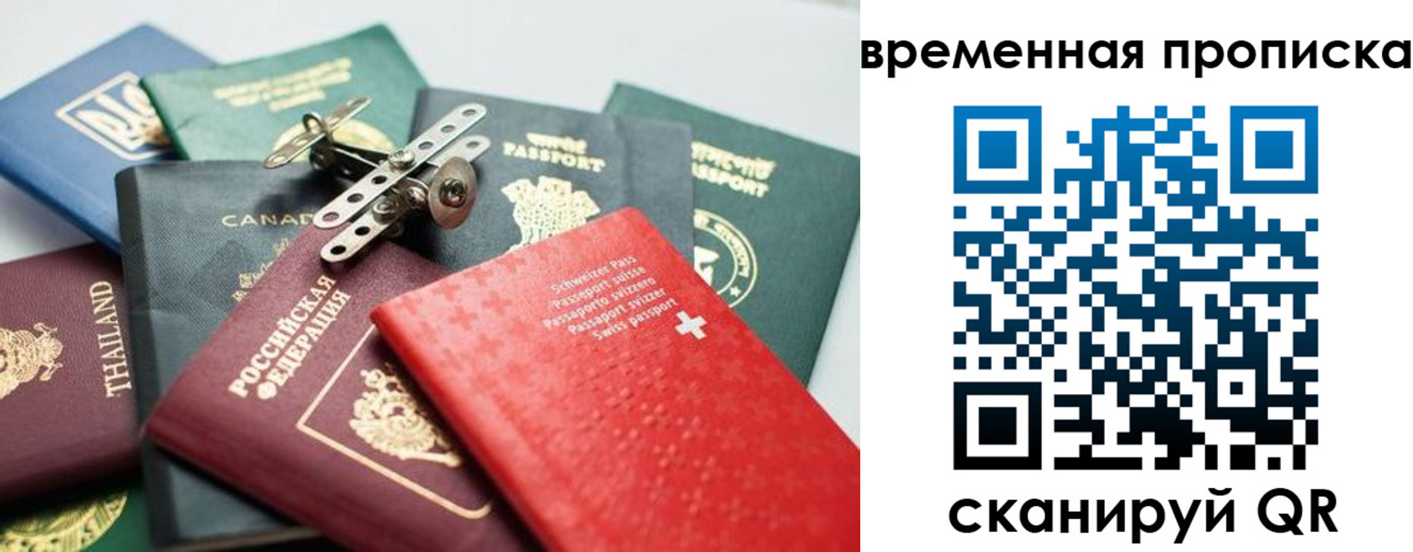 прописка поиск в Коломне